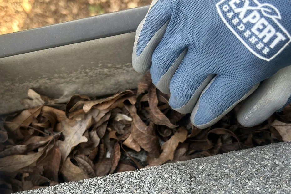 Gutter Cleaning Bermuda Run