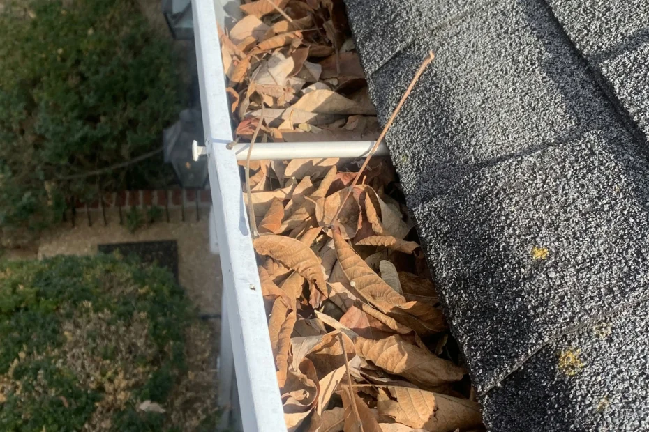 Gutter Cleaning Bermuda Run